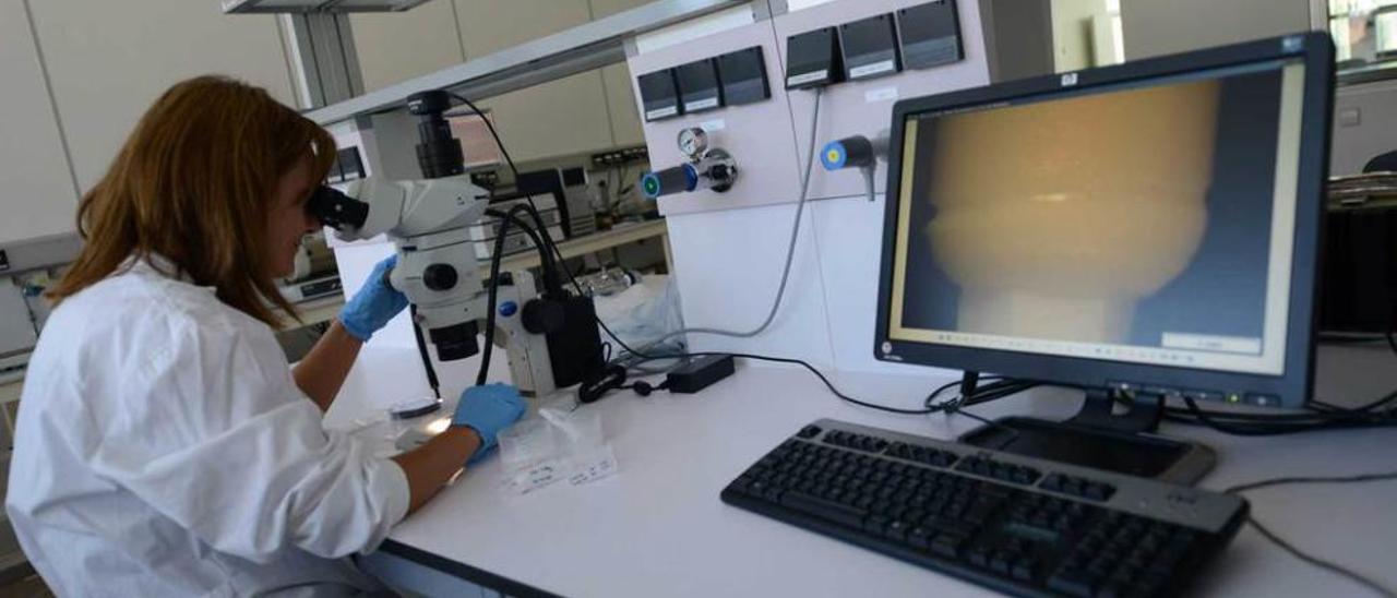 Belén Cabal examina una pieza de una prótesis dental en el Centro de Nanotecnología de El Entrego.