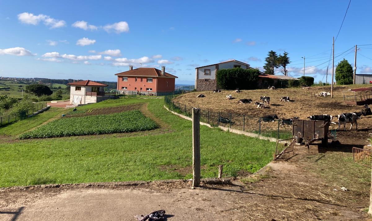 Viviendas en La Callezuela (Illas).