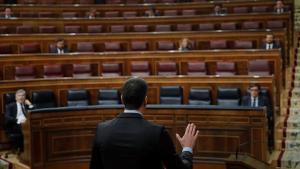 El presidente del Gobierno, Pedro Sánchez (de espaldas), interviene durante el pleno de control al Ejecutivo, el 29 de abril en el Congreso.