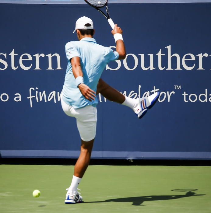 Otras imágenes de pérdida de nervios de Djokovic