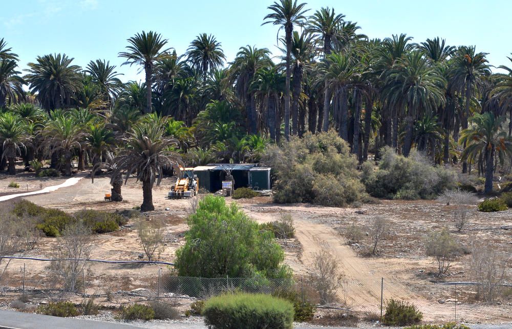 PARQUE TONY GALLARDO OBRAS