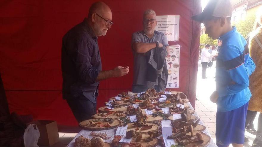 La Festa del Bolet de Cal Rosal atrau gent al mercat, que espera ser més reeixit