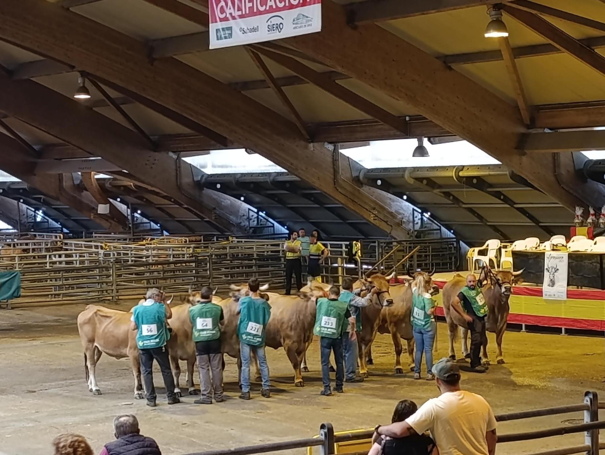 Arranca Agrosiero en La Pola