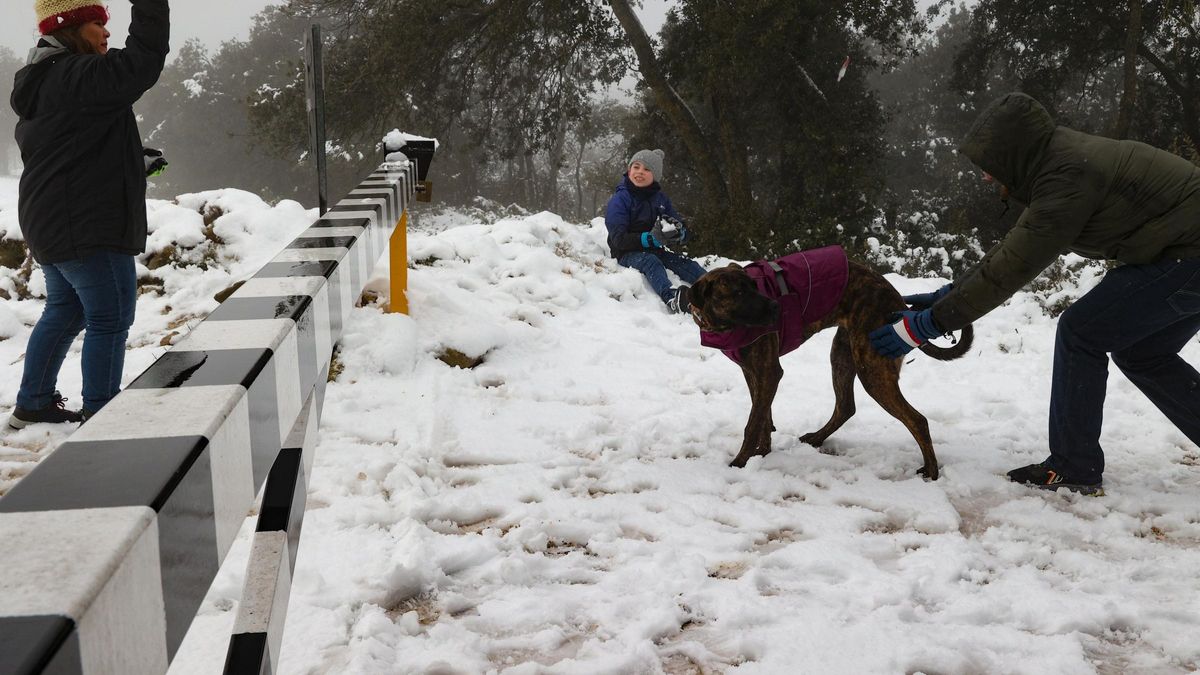 Nieve en Alicante: las estampas más esperadas en invierno