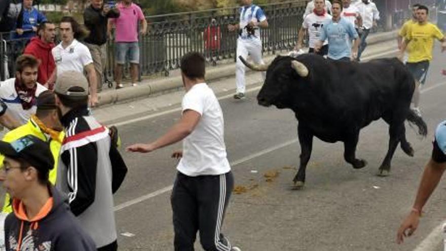 Tordesillas celebra su primer Toro de la Peña sin lanzas