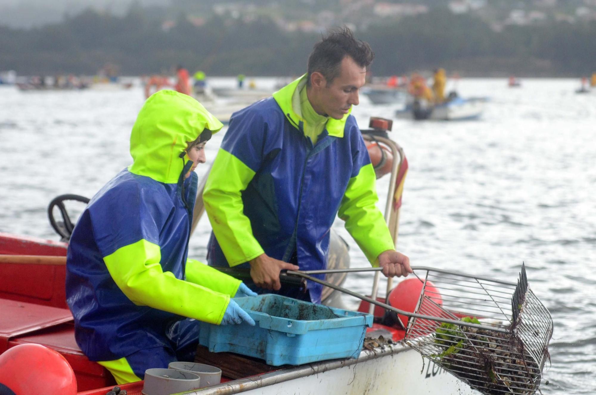 Los mariscadores revisan sus &quot;raños&quot;.