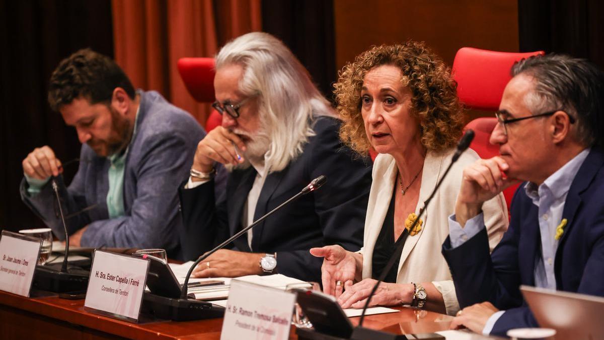 La ’consellera’ de Territori, Ester Capella, comparece en la comisión del Parlament para explicar las líneas maestras de su mandato.