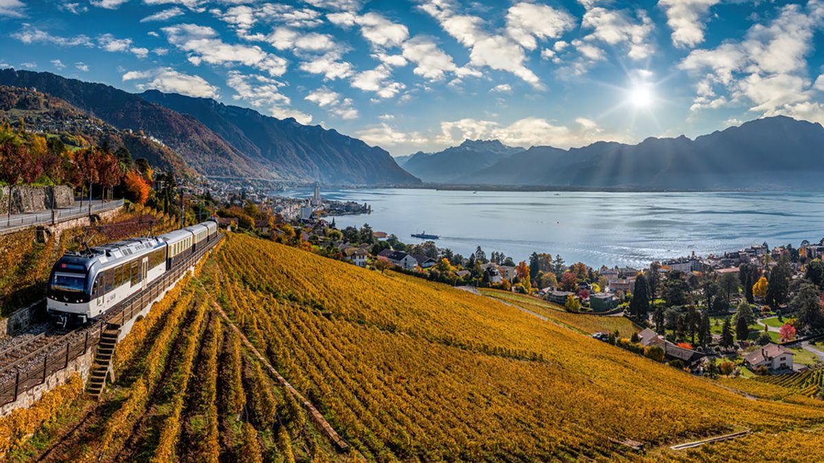 El tren atraviesa los viñedos en terrazas de Lavaux, a orillas del lago Lemán, uno de los paisajes más icónicos del recorrido suizo.