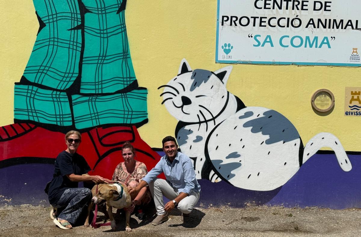 Pumba, el perro que ha sido adoptado tras pasar cinco años esperando en sa Coma.