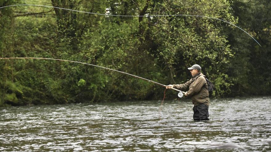 ¿Dónde están los salmones? Alarma entre los pescadores por la captura de tan solo 4 ejemplares desde el 13 de abril