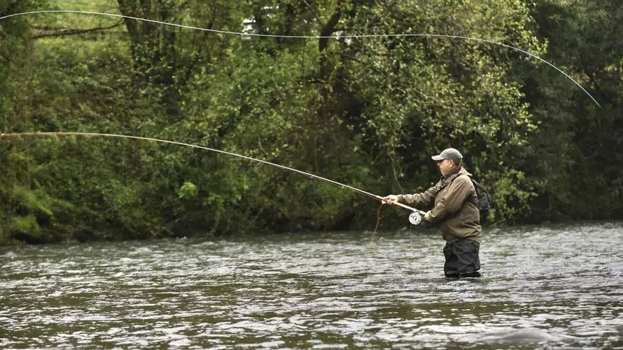 ¿Dónde están los salmones? Alarma entre los pescadores por la captura de tan solo 4 ejemplares desde el 13 de abril