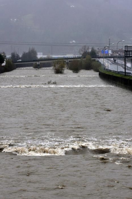 El río Caudal, crecido por las lluvias del temporal.