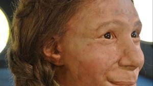 Reconstrucción de una niña neandertal en el Museo del Neandertal, en Alemania.