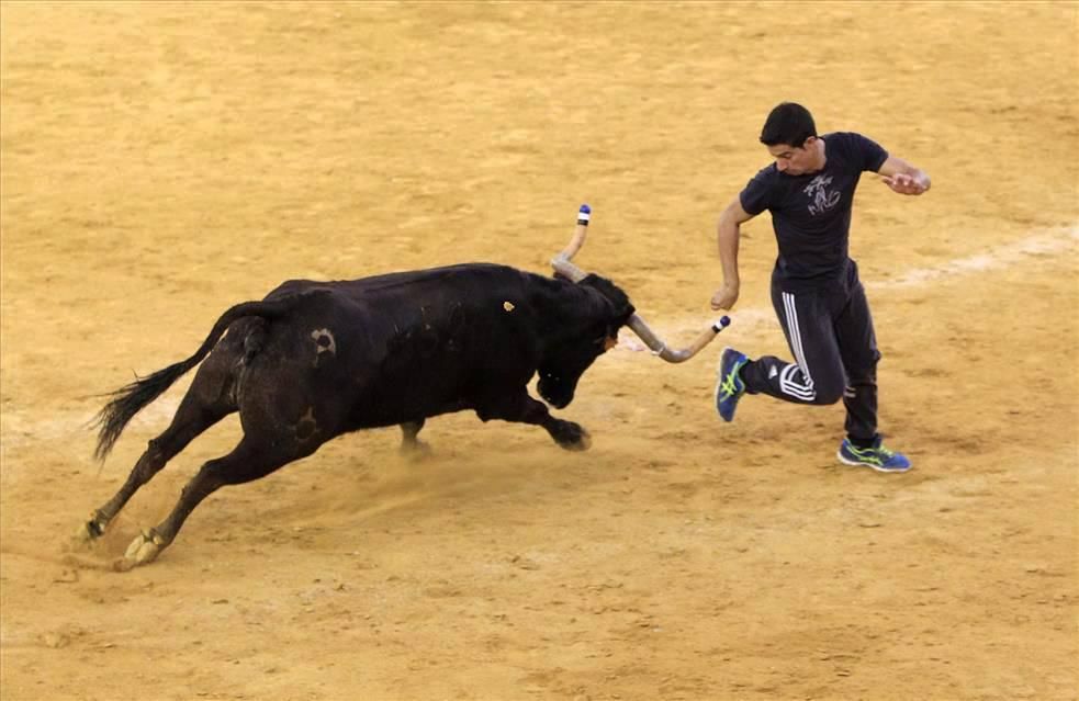 Mejores momentos de las Vaquillas