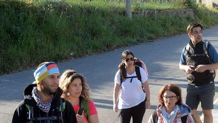 Peregrinos cruzando la carretera en Alba. // Rafa Vázquez