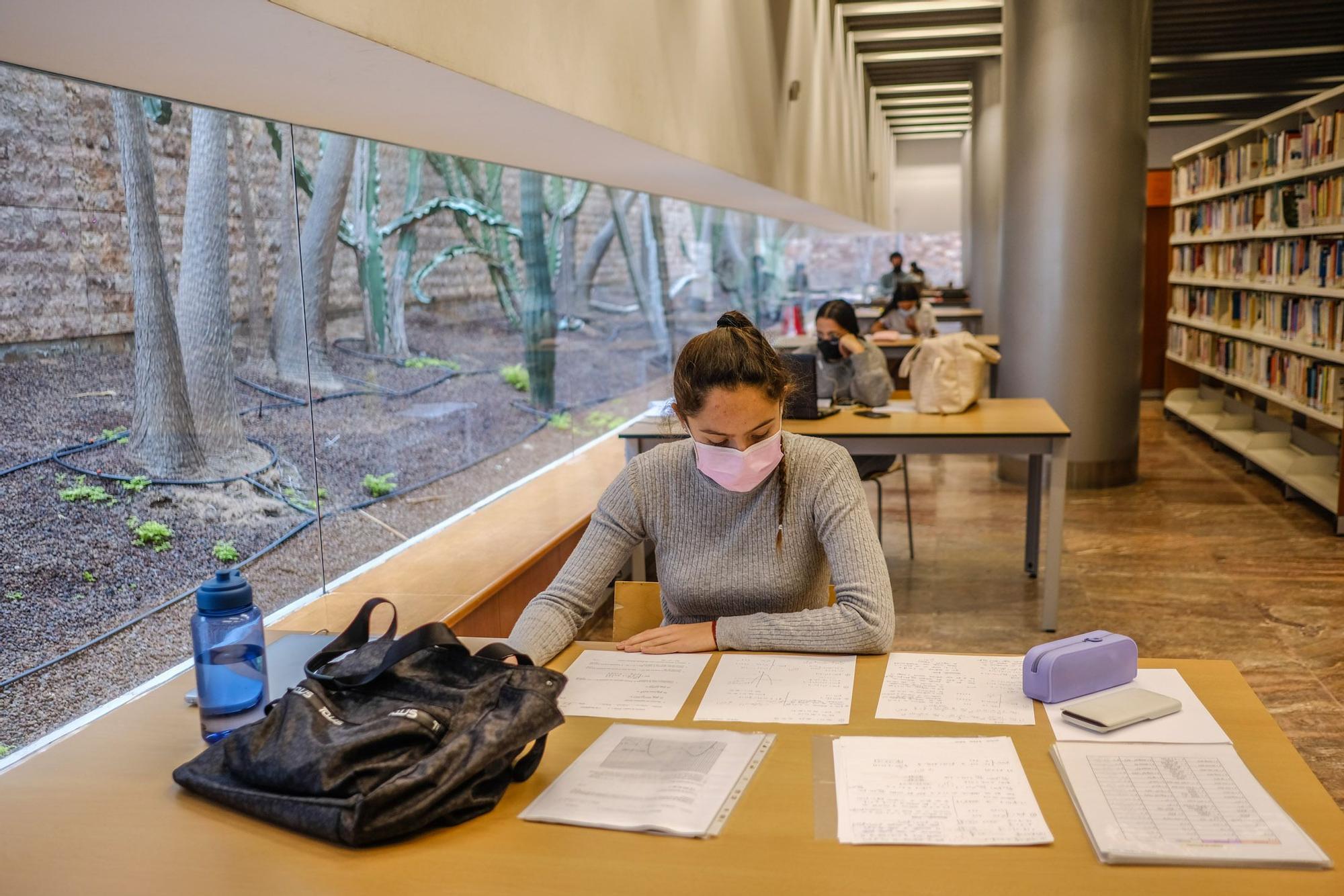 Así preparan los alumnos canarios la EBAU