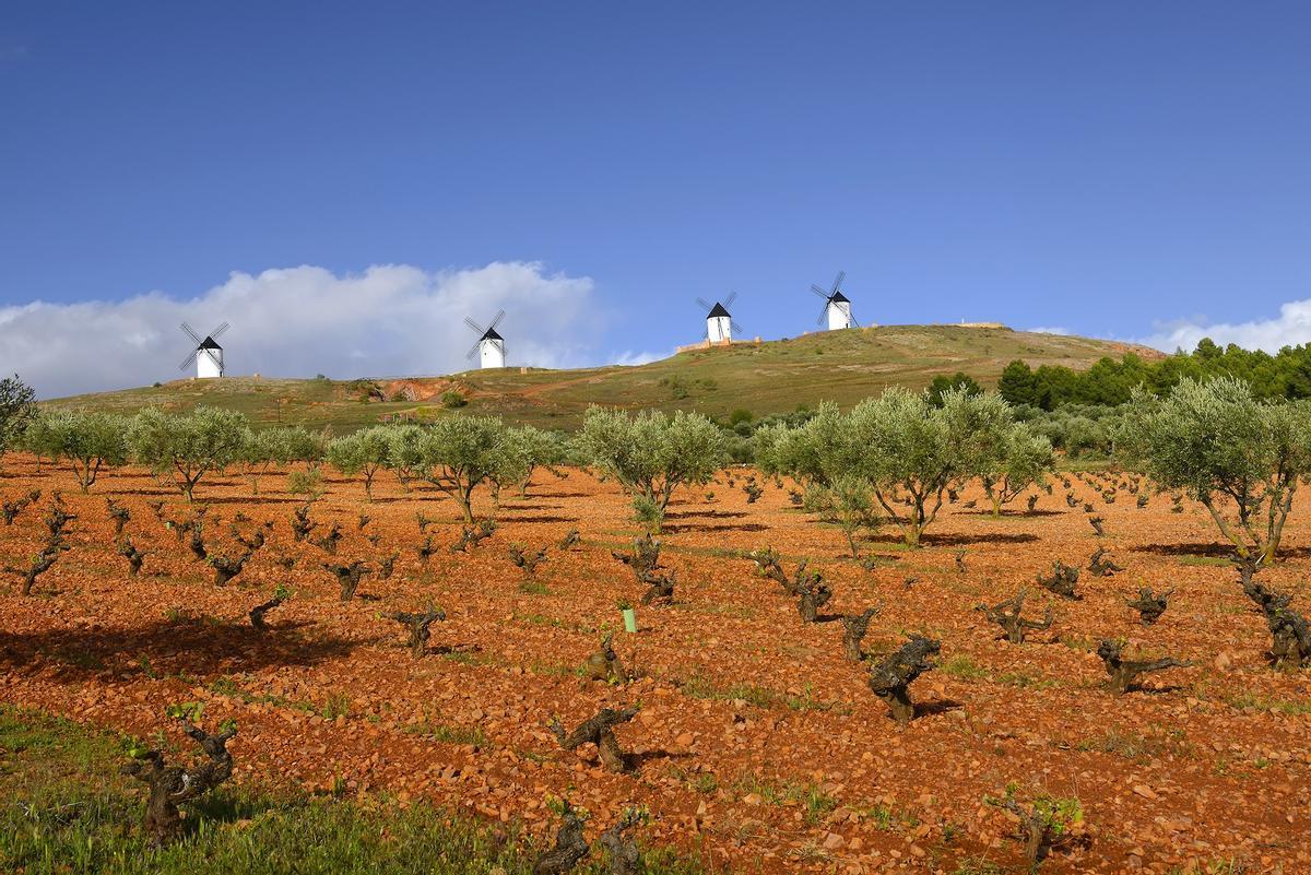 Castilla-La Mancha cuenta con varias denominaciones de origen