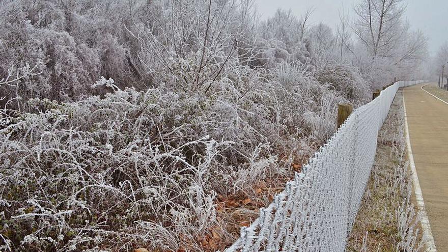 Benavente sigue blanca por la niebla congelada