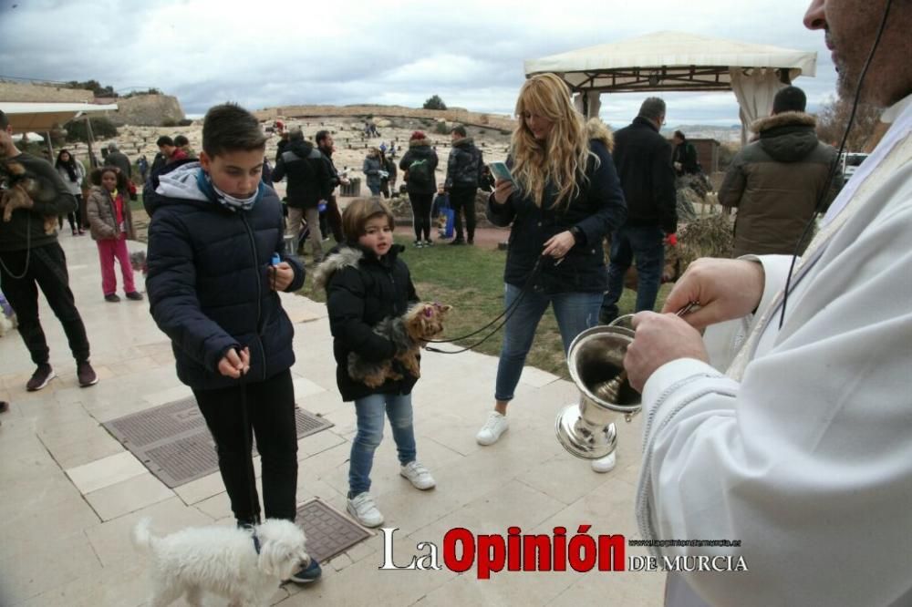 Jornada especial por San Antón en la Fortaleza del Sol de Lorca