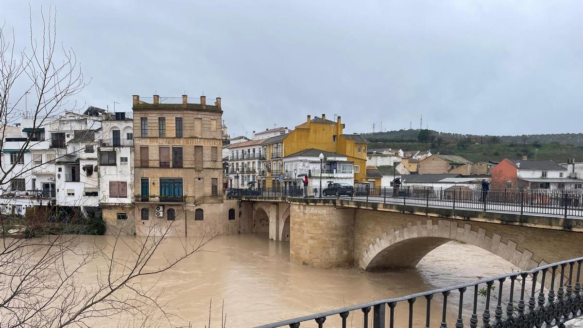El río Genil a su paso por el entorno de La Alianza en Puente Genil durante la borrasca Leonardo