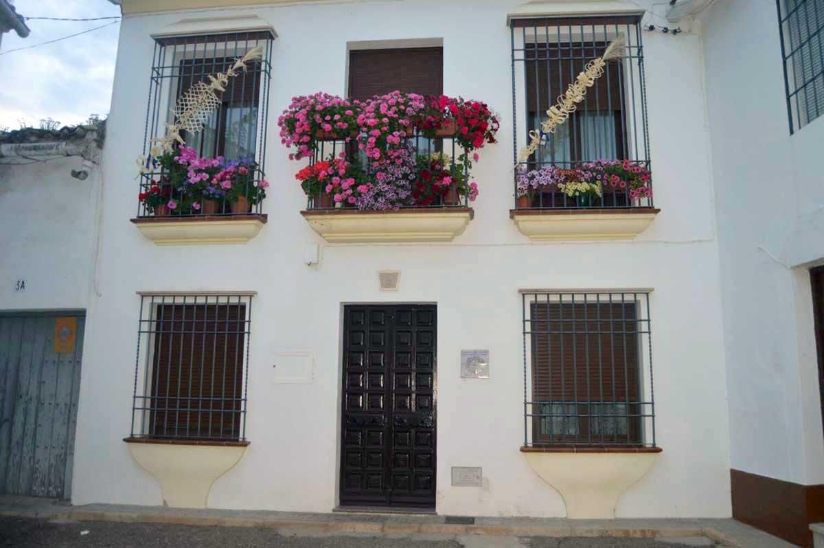 Las 'Calles en flor' de Cañete de las Torres