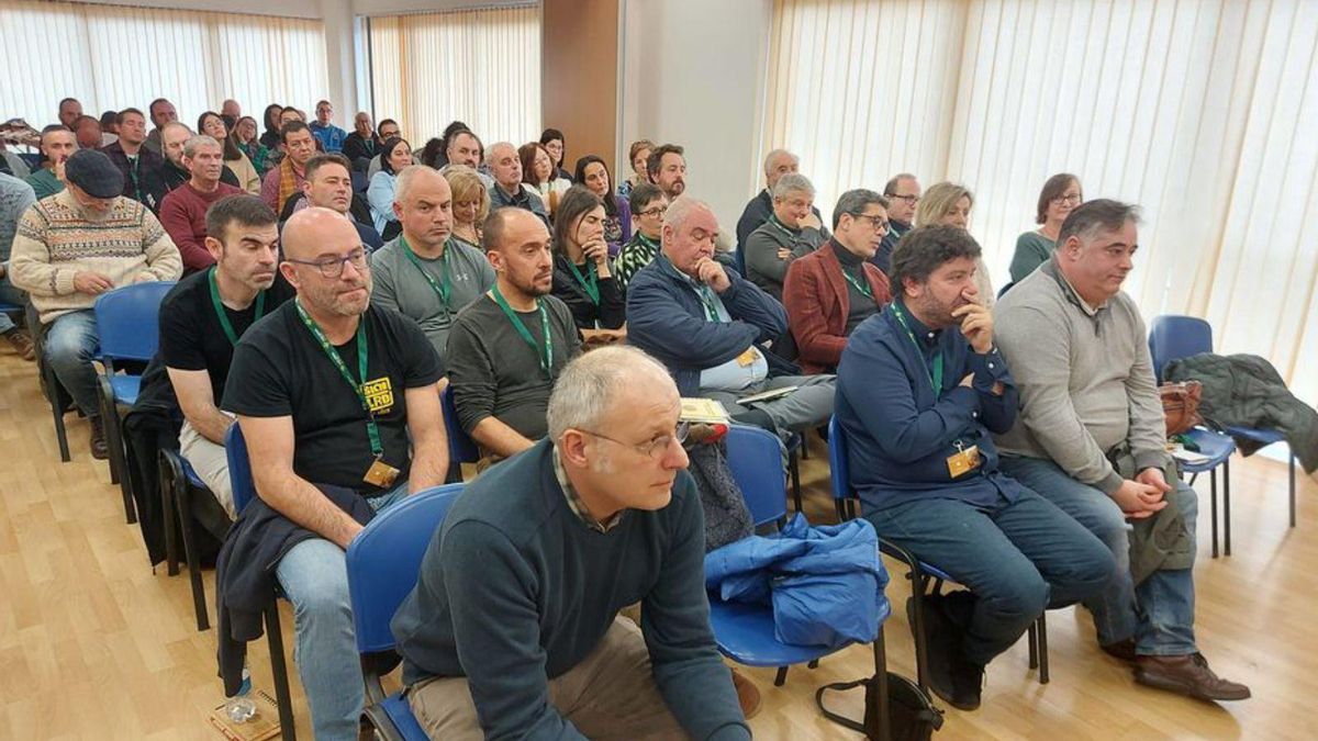 Asistentes al Seminariu d’Estudios Asturianos de la Fundación Belenos. | T. C.