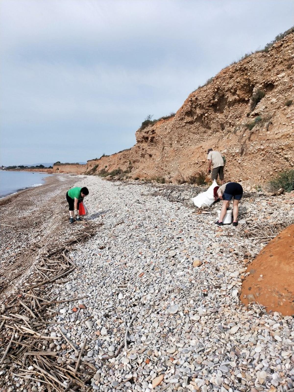 Imagen de los trabajos realizados por los voluntarios en la playa.