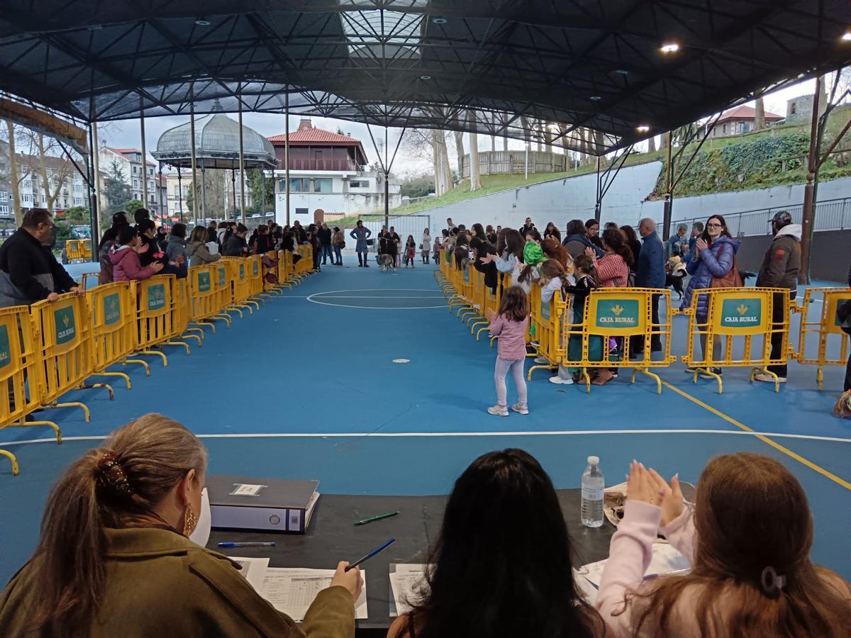 El desfile de mascotas de Grado, en imágenes