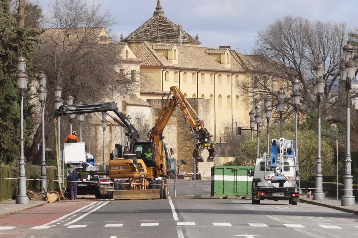 Cierre de la avenida del Alcázar hasta el Puente de San Rafael por caída de un árbol sobre un muro de Caballerizas.