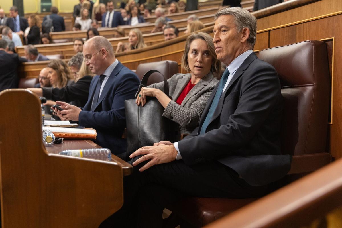 El portavoz del PP en el Congreso, Miguel Tellado; la secretaria general del PP, Cuca Gamarra, y el presidente del Partido Popular, Alberto Núñez Feijóo, durante una sesión de control al Gobierno.