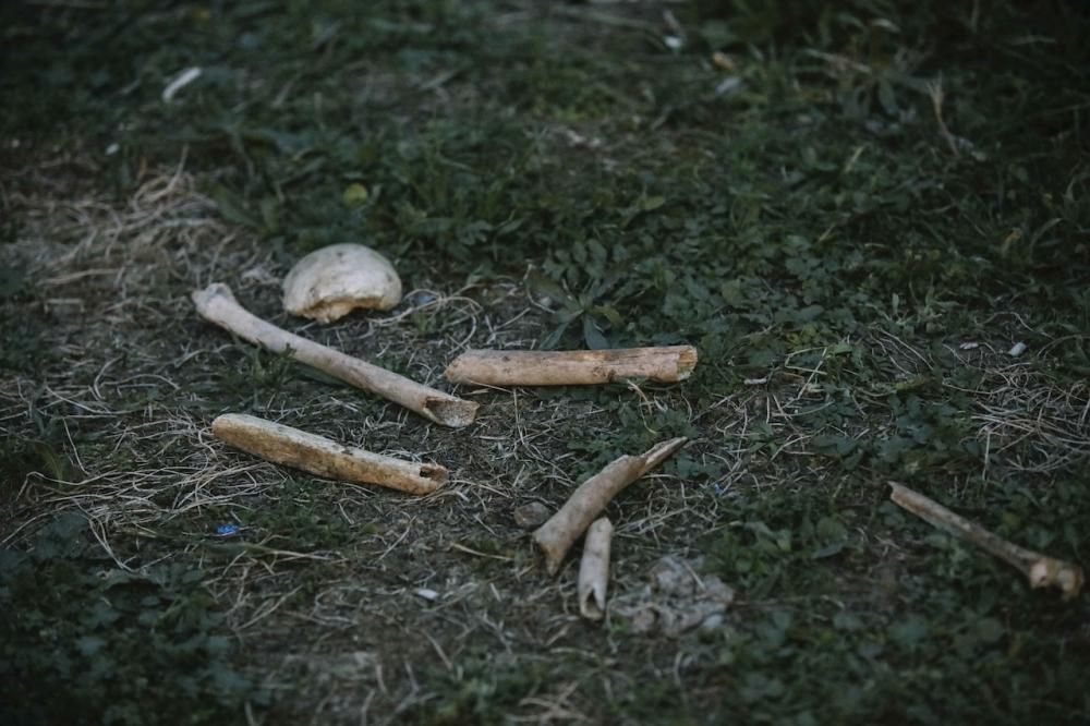 Unos niños encuentran huesos humanos en un descampado de Palma