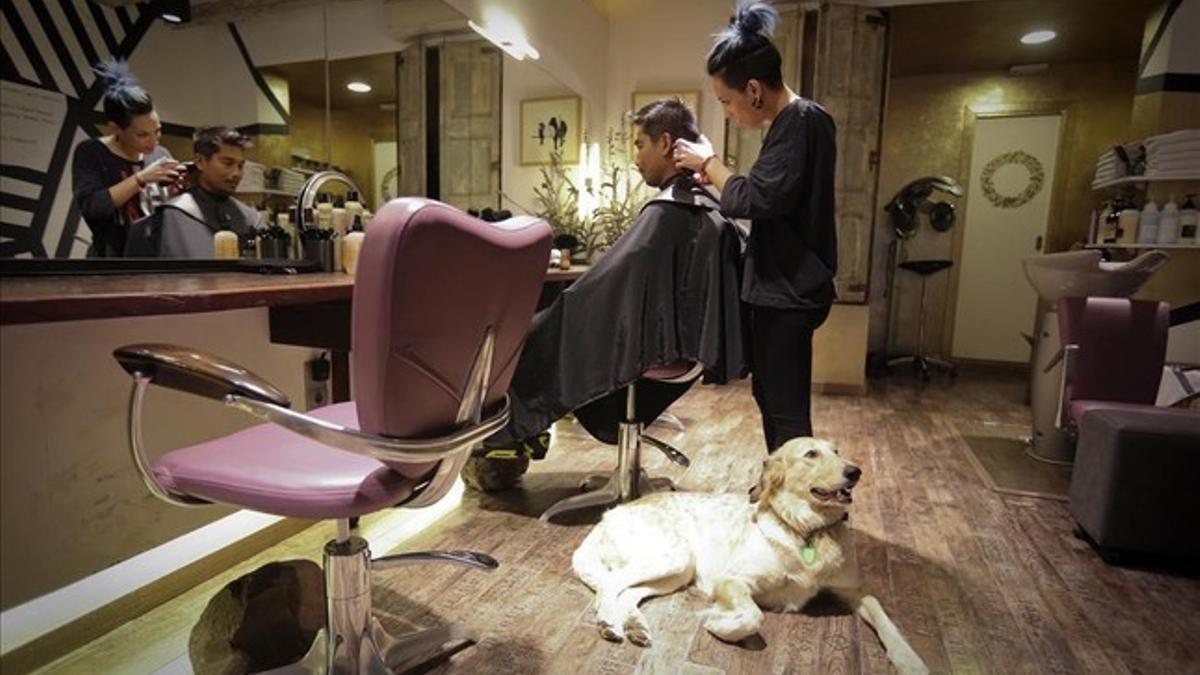 La mano loca, en el Raval, es una de las peluquerías más 'dog friendly' de Barcelona.