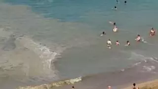 Varios bañistas nadan entre microalgas en Las Canteras para combatir el calor