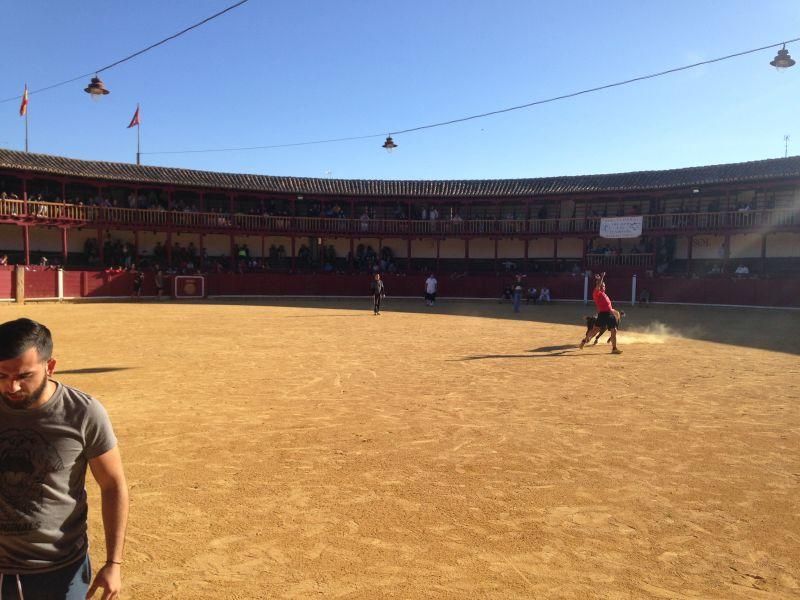 Toro de cajón y encierro urbano en Toro