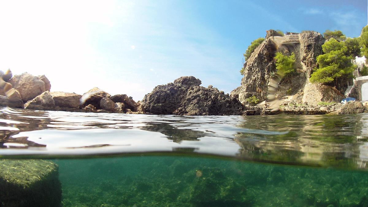 Biodiversidad marina en Altea.