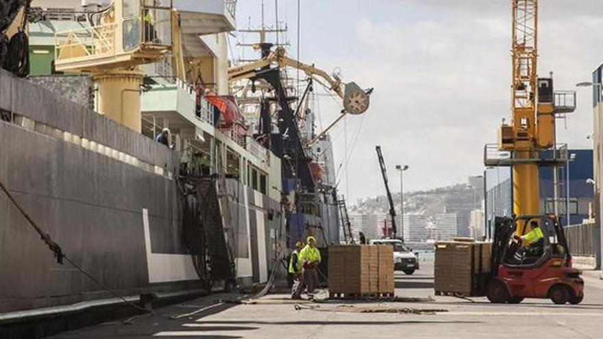 Un pesquero descargando en el Puerto de La Luz.