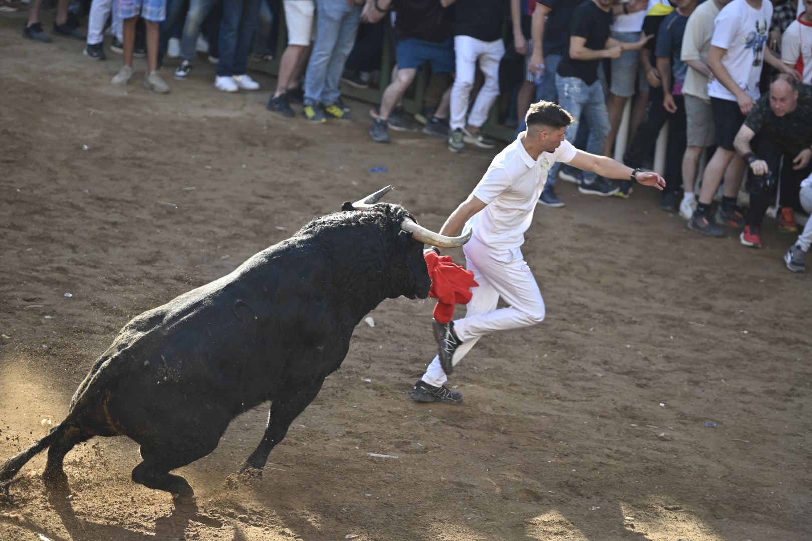 Galería | Primera tarde de toros en Almassora