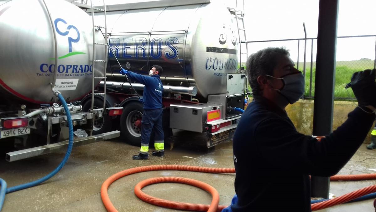 Operarios trabajan en los camiones de transporte de leche de Cooprado.
