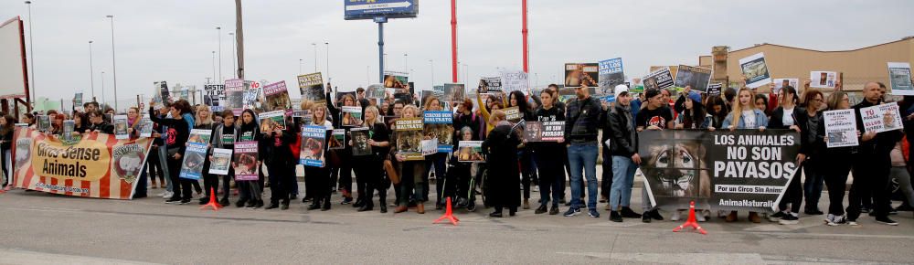 Protesta contra un circo con animales en Alfafar