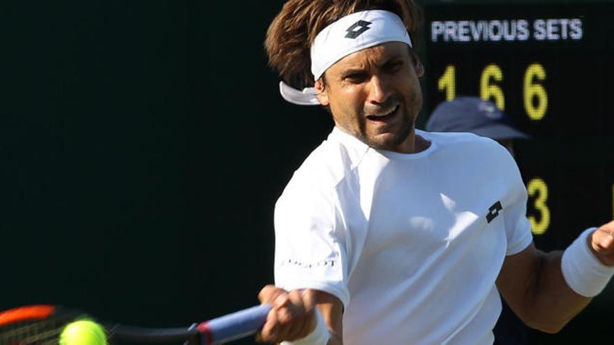 David Ferrer, durante un partido.