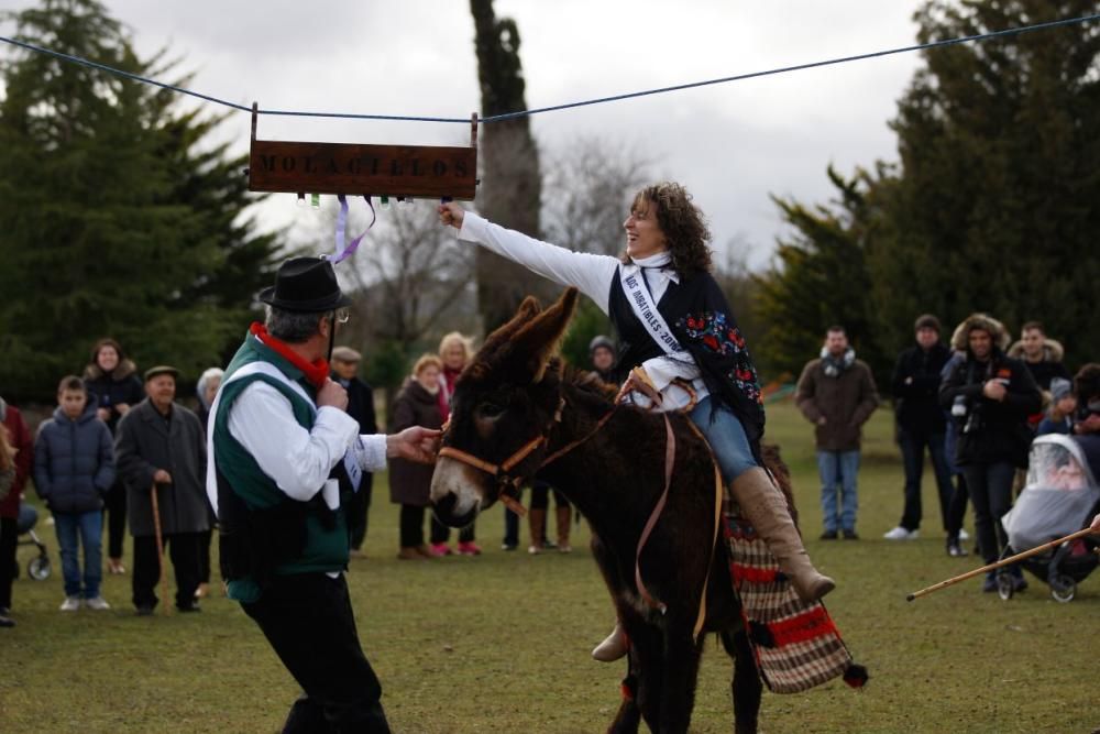 Carrera de cintas en burro en Molacillos.