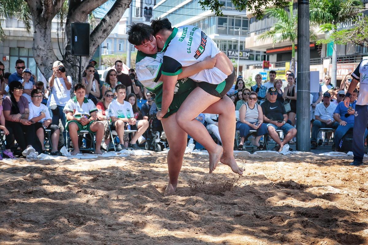 Santa Cruz vive el Día de Canarias por todo lo alto