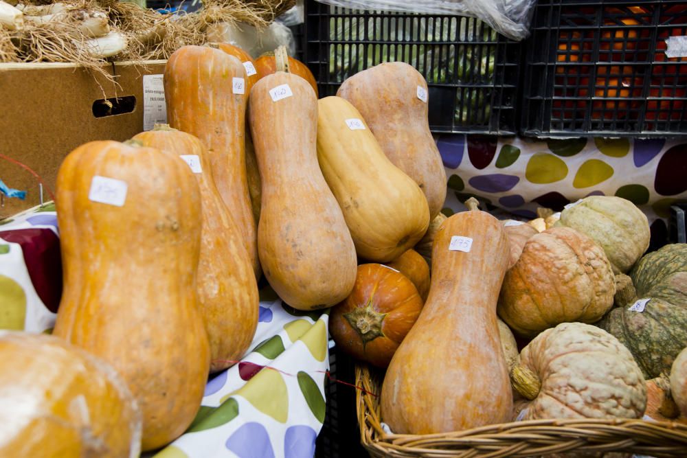 Mercado ecológico en la plaza del Ayuntamiento de Valencia