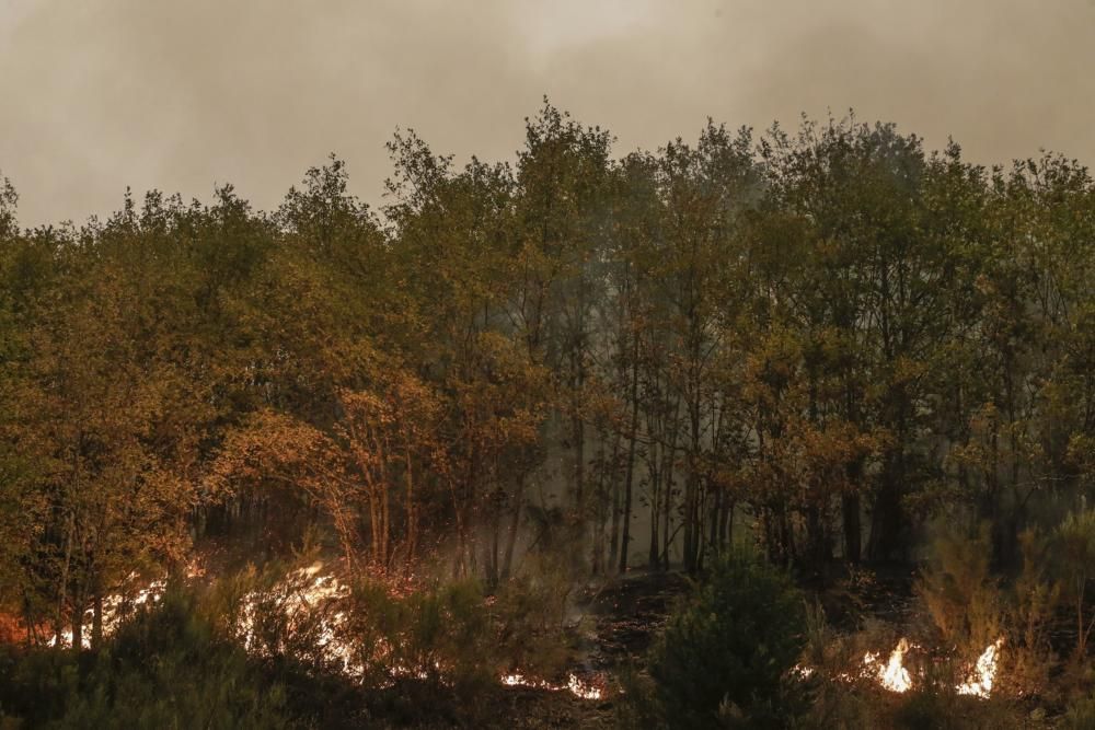 El suroccidente asturiano lucha contra las llamas