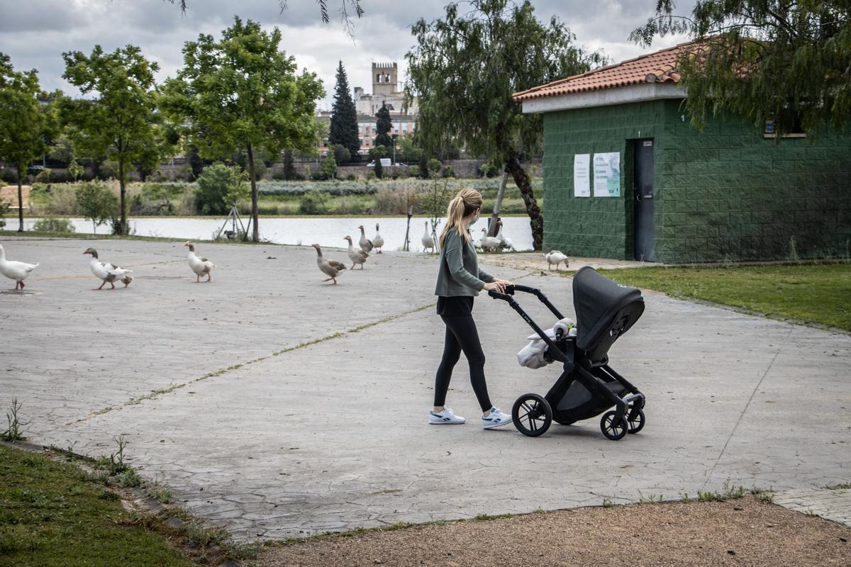 Patos en el parque del río, Badajoz.