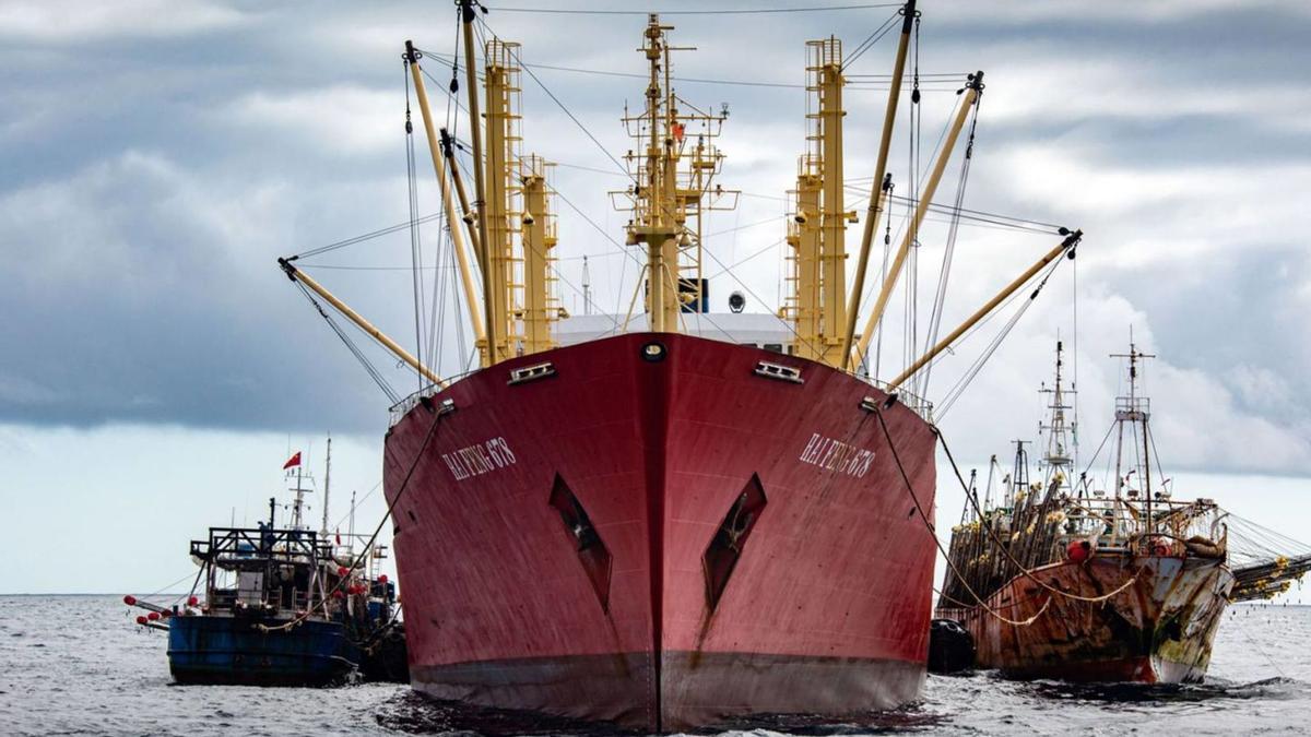 El «reefer» de pabellón de Vanuatu «Hai Feng 678», cargando capturas de buques chinos en alta mar.