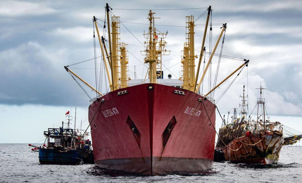 El «reefer» de pabellón de Vanuatu «Hai Feng 678», cargando capturas de buques chinos en alta mar