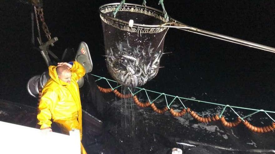 Un cerquero gallego durante la captura de sardina. // J.M.S.