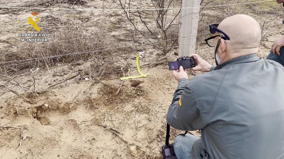 Vídeo | La Guardia Civil interviene 110 lazos de caza y localiza una explotación ganadera clandestina