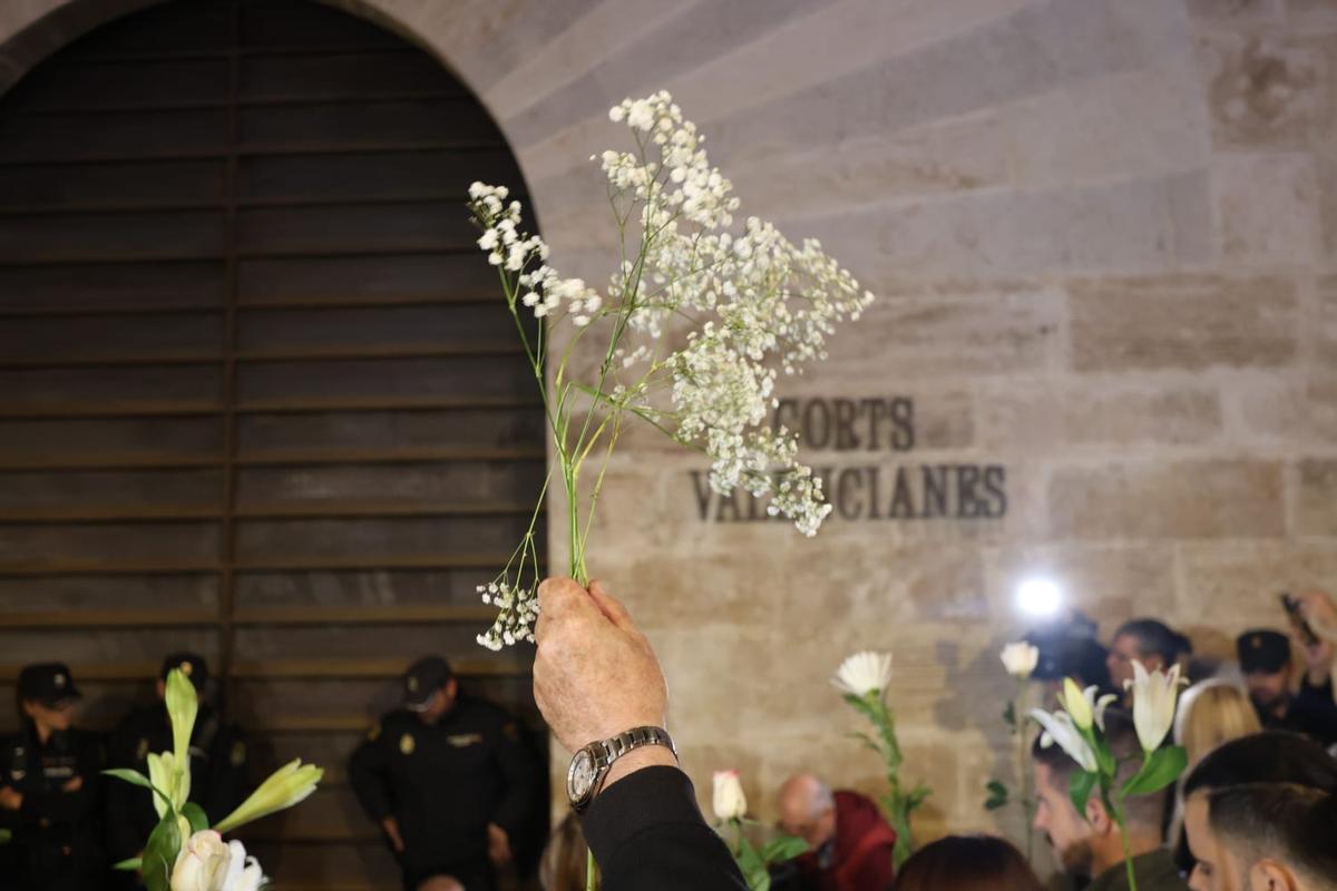 Decenas de valencianos se concentran frente a las Corts para pedir el enjuiciamiento de Mazón por su gestión de la dana